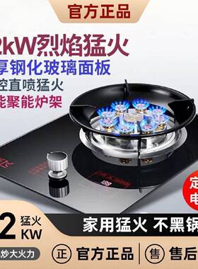 新飞燃气灶单灶家用定时九腔猛火灶头嵌入式天燃气液化煤气灶炉具
