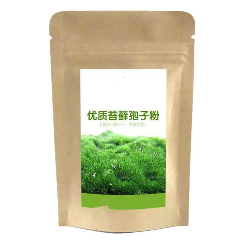 苔藓孢子粉草种籽盆景微