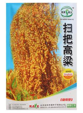 扫把笤帚高粱种子长杆播种