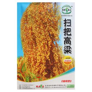 扫把笤帚高粱种子五谷杂粮种子酒高粱 笤帚长杆高粱种子 春夏播种