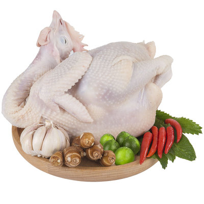 海南椰子潭牛农家顺丰包邮文昌鸡