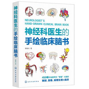 神经科医生的手绘临床脑书 徐桂兴 450幅手绘图看懂大脑的解剖影像病理生理与临床 神经内科外科的手绘临床脑书 正版书籍