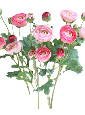 绢花露莲花艺摆件洋牡丹花北夏