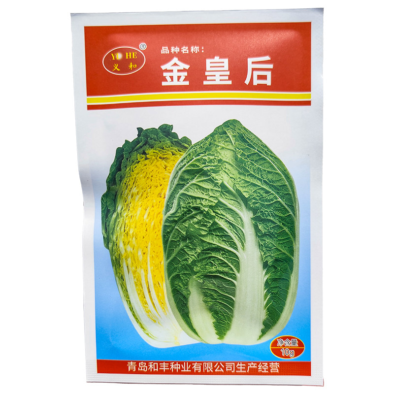 义和金皇后黄心大白菜种子高产型