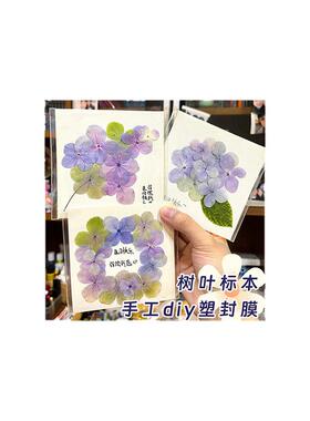 塑封膜透明玻璃纸自粘照片