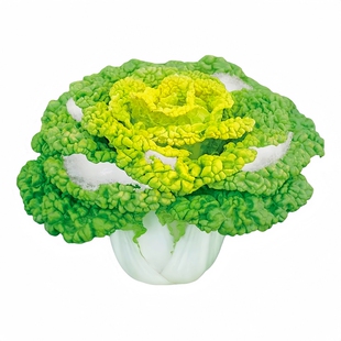 黄心乌塌菜种子黑心乌塌菜种籽小八叶黑菜秋冬耐寒可越冬蔬菜种孑