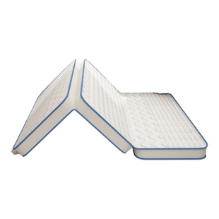 榻榻米床垫定制任意尺寸家用卧室学生宿舍黄麻折叠打地铺床褥垫子