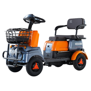 家燕新款小巴士电动四轮车双人座老年人残疾人助残代步车出游代步