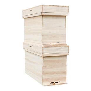 五框中蜂育王交尾箱蜂箱全套标准杉木烘干土养蜂专用蜜蜂授粉箱