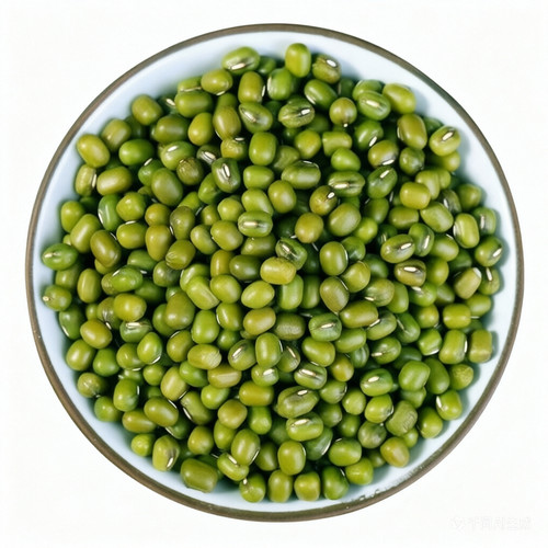东北新货绿豆可发芽农家新货绿豆薄皮优质绿豆粥绿豆糕原料