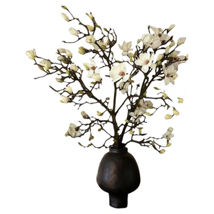 水培植物玉兰花鲜花云南基地直发室内好水养鲜切枝花束插花瓶花卉