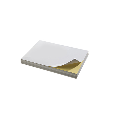 透明贴纸商标不干胶印刷定制