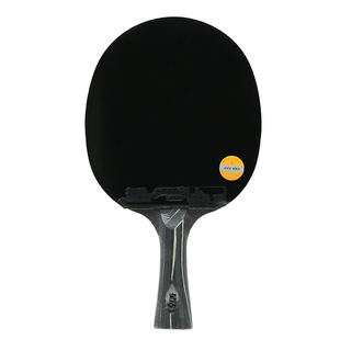 红双喜乒乓球拍星钻黑耀专业级双面狂飙3纯木训练单拍横直拍长柄