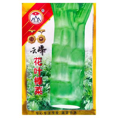 花叶特大棒菜种子秋季芥菜头棒棒