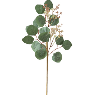 仿真尤加利叶花卉装饰永生花环绿色植物摄影造型道具假金钱桉树叶