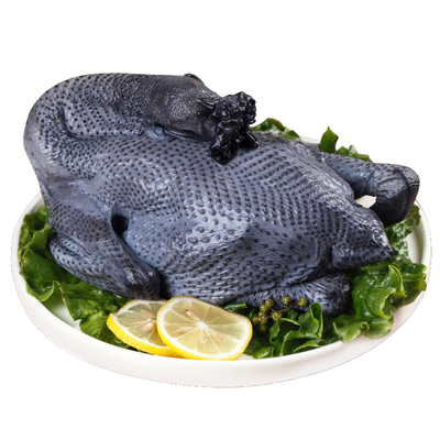 正宗江西泰和原种乌鸡新鲜现杀