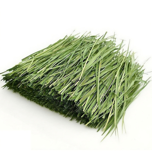 25年新烘干提摩西草段北提草兔子干草粮兔饲料龙猫荷兰猪豚鼠牧草