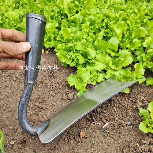 锰钢锄头锰钢锄草大田除草锄地专用大号锄头农村家用锄草锄地工具