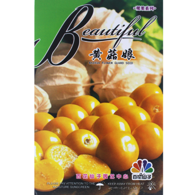 黄姑娘果种子黄菇娘果