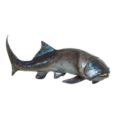 新年礼物pnso恐龙大王陪伴邓氏鱼