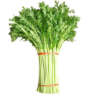 光杆茼蒿种子皇帝菜种籽无纤维青菜叶菜四季蔬菜种子阳台庭院包邮