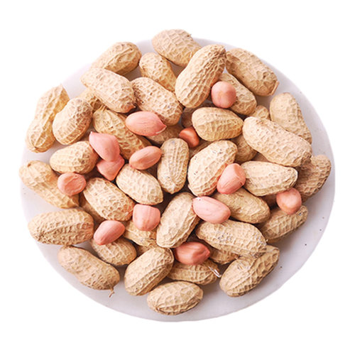 2025新鲜带壳生花生 新货5斤粉红皮农家自种新鲜干花生晒干种子米