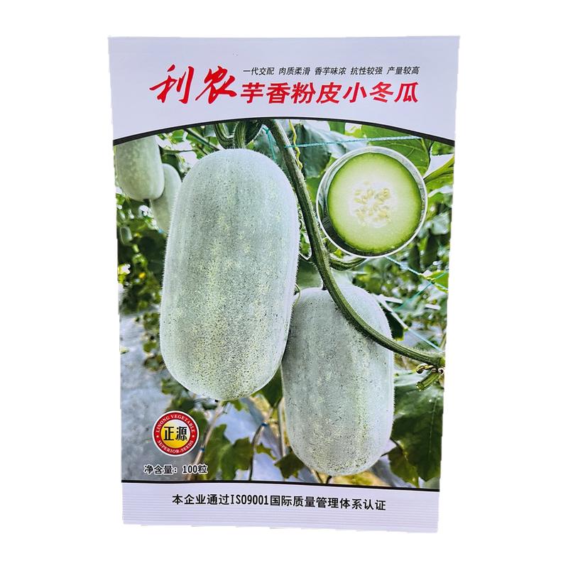 和利农芋香粉皮小冬瓜种子 口感好肉质柔滑味香 抗病性强小冬瓜种
