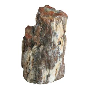 水玉冰魄树化玉摆件 树化石原石把玩木化石把玩木化玉硅化木实物