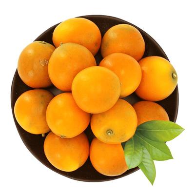 顺丰次日达丨融安金桔官方旗舰店