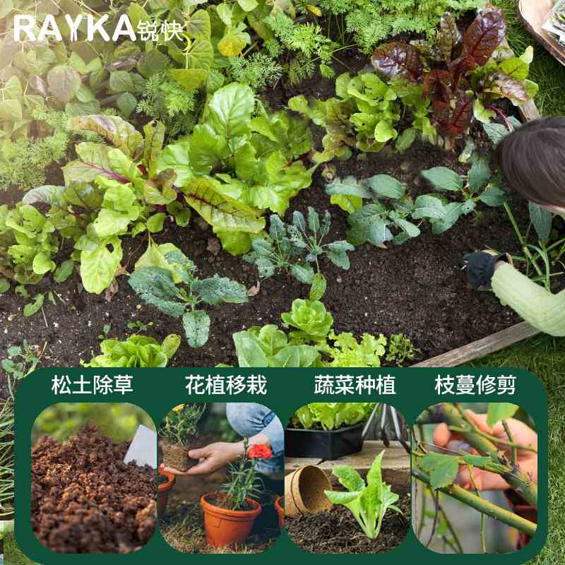 锐快园林用品铝合金工具套装双色套装6手柄件套花园工具铲子