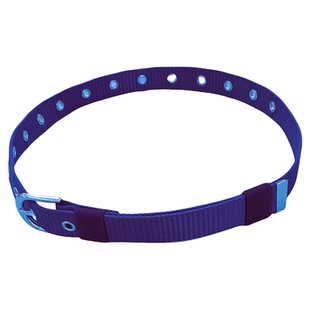 编织布皮带针扣窄腰带男女青少年老人通用细裤带学生耐用帆布百搭