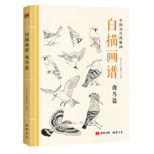 美学大师 白描画谱 禽鸟篇 中国工笔技法画册集书籍入门初自学者零基础教程材成人手绘临摹勾线名家底稿图大全美术绘画