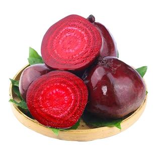 江苏新鲜甜菜根2025现挖发货甜菜头精选农家肥红菜头纯红多汁五斤