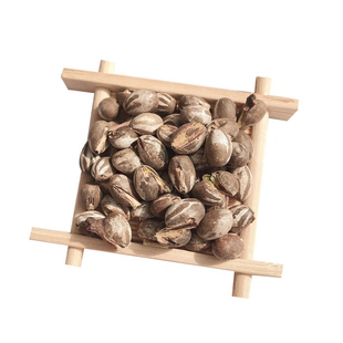 坦克虫活蜜袋鼯零食刺猬仓鼠花枝鼠金丝熊高蛋白营养长胖增肥宠物