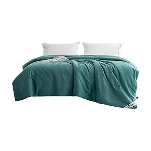 七孔大豆纤维被子被芯空调被单人四季通用春秋被子被凉被双人被褥