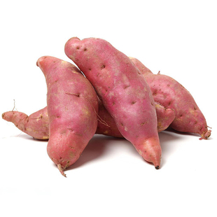 天津红瑶蜜薯宁河岳龙镇红瑶红薯黄金蜜薯榴莲地瓜沙地黄心烤红薯