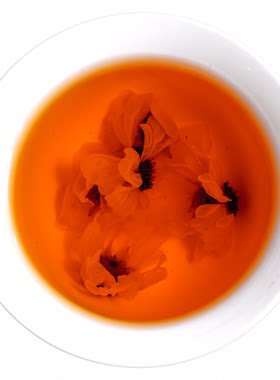冰山昆仑雪菊高海拔天山