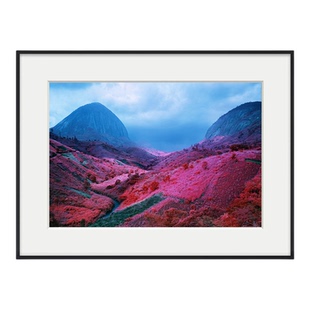 richard mosse 玛格南摄影师装饰画酒店餐厅彩色风景摄影粉色挂画