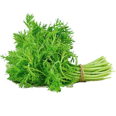 燎原茼蒿绿色新鲜蔬菜