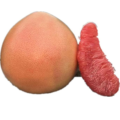 【万人回购】现摘现发35年老树