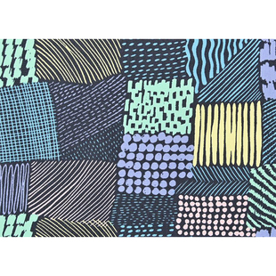 日本进口KOKKA有机牛津棉纯棉舒适面料衣服桌布DIY拼凑方块名师布