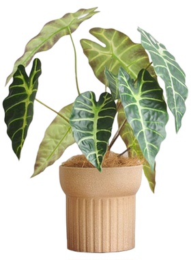 样板间儿童房木质动物主题软装