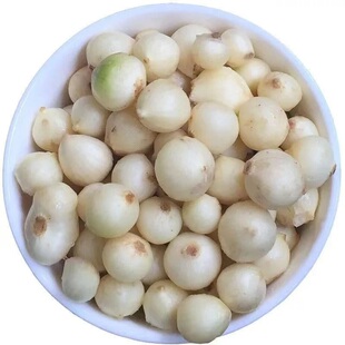 正宗团葱新鲜苦藠农家蔬菜薤白小根蒜苦芥当季茭头野葱做泡菜炖汤