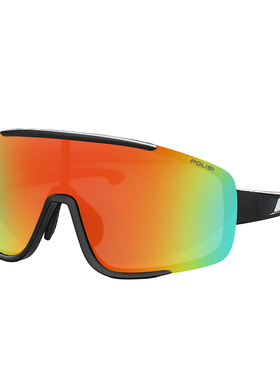 POLISI偏光骑行眼镜太阳镜近视