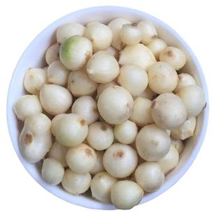 品质苦藠团葱新鲜蔬菜四川苦藠头苦藠种野葱头小蒜头薤白野生苦叫