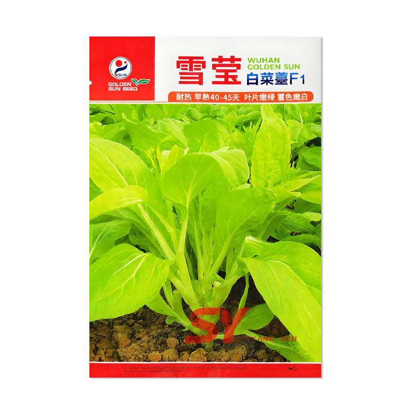 金阳红雪莹白菜苔种子