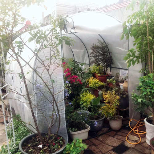 家用暖棚温室花房骨架阳台花棚多肉花卉园艺盆栽避雨保温简易大棚
