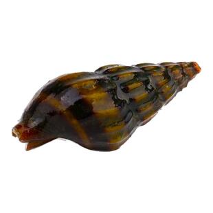 杀手螺活体清理吃杂螺淡水草缸工具除蜗牛涡虫蜜蜂宝塔大黄蜂观赏