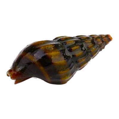 一叶莫斯杀手螺除杂螺工具螺