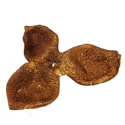 自用老陈皮3年完整皮泡茶